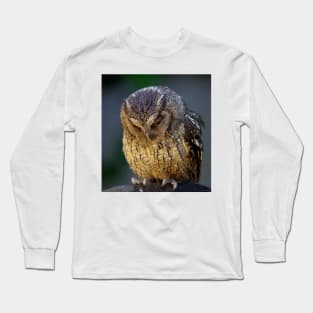 sulking owl Long Sleeve T-Shirt